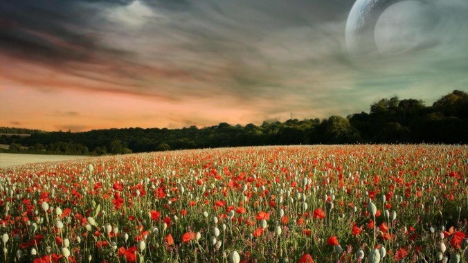 为什么新流行的开源编辑器都在用Rust开发？